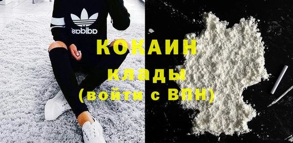 Альфа ПВП Няндома