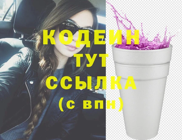 Альфа ПВП Няндома
