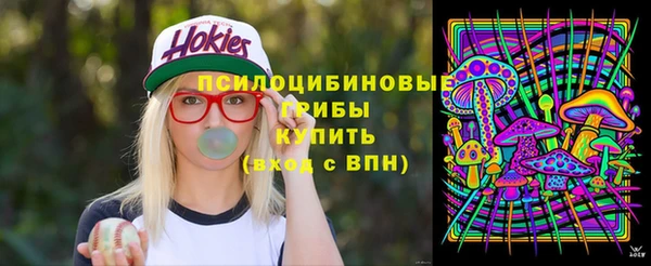 Альфа ПВП Няндома