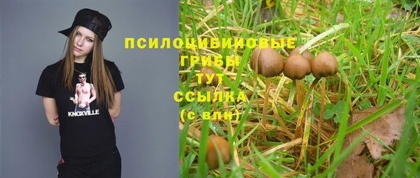 марихуана Абаза